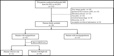 Multimodal MRI study of the relationship between plaque characteristics and hypoperfusion in patients with transient ischemic attack